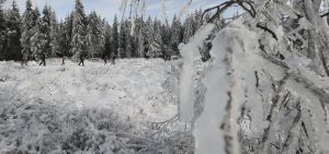 Sneeuw in de Ardennen, ook komende dagen regelmatig sneeuwbuien