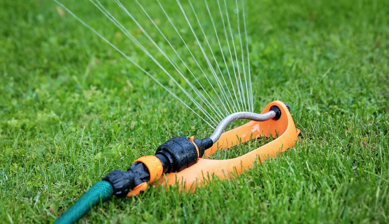 Sandalen vijver waarschijnlijk Hoe vaak moet je bij droogte de tuin sproeien?