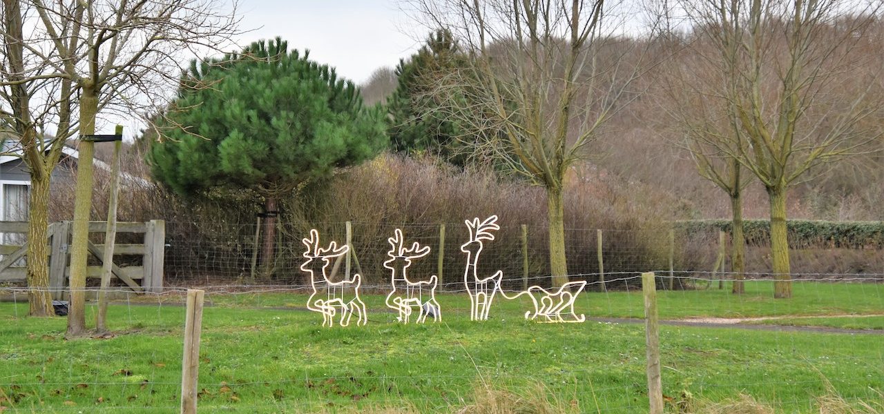 Weekverwachting: donkere dagen voor kerst