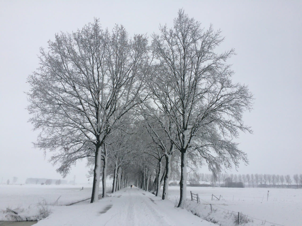 Sneeuw in het Binnenveld van Wageningen. Foto: Yannick Damen