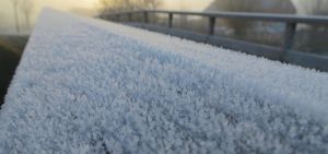 Hoe ontstaat rijp en wat is het verschil met sneeuw?