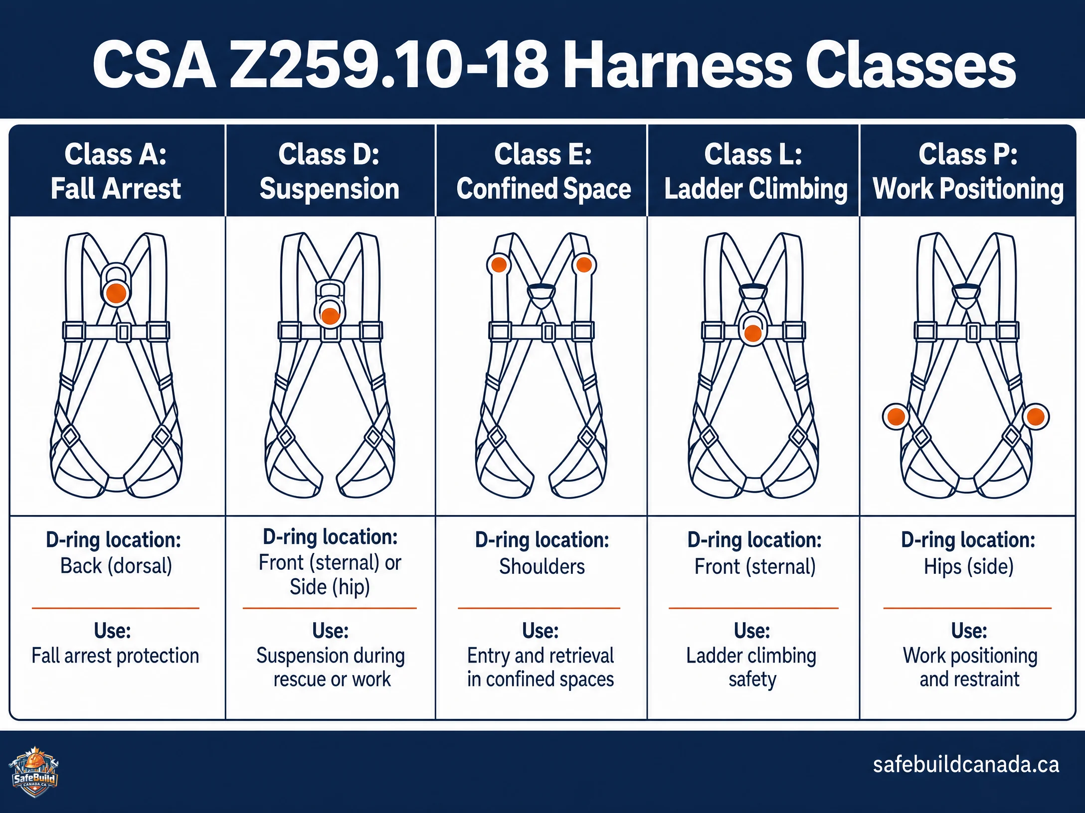 A visual matrix showing the 5 CSA Z259.10-18 harness classes (A, D, E, L, P). For each class, a simple icon of the harness highlighting the D-ring location and a brief use case.