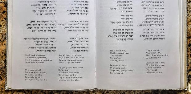 orthodox-jewish-prayer-book-szol-a-kakas-6