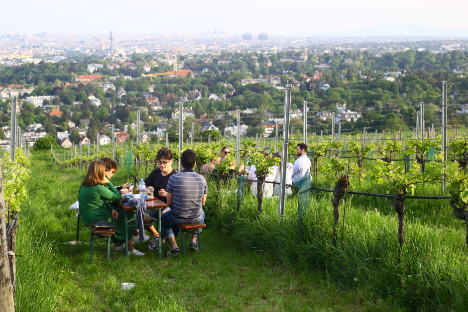 Many wineries have recently opened small Heurigers or Buschenschanks high up on the hillside to draw a younger crowd with the panoramic views and carefree environment. Photo: Tas Tóbiás 