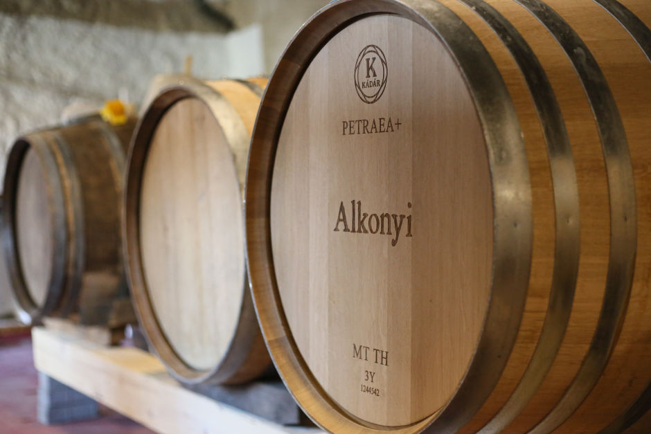 Oak barrels of Tokaj winemaker László Alkonyi. According to its label, the one on the right was made from the Quercus Petraea species of oak, seasoned for three years, and toasted to medium. Photo: Barna Szász for Offbeat    