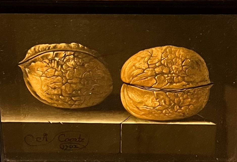 Two Walnuts, by Adriaen Coorte (1702). Photo: Tas Tóbiás