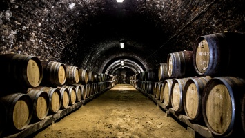 7 of the Top Wineries in Szekszárd - Offbeat Budapest