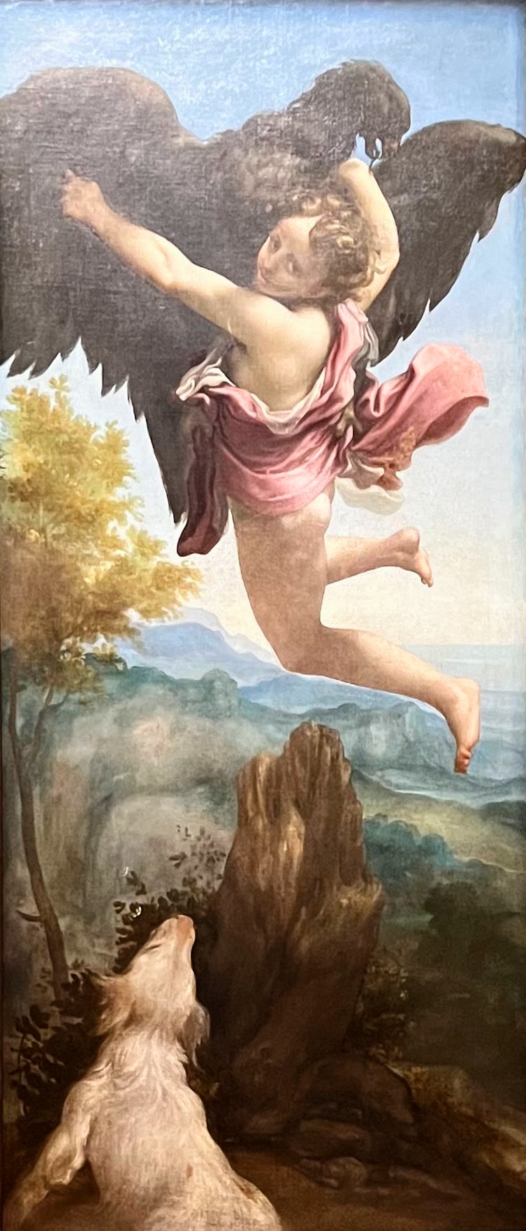 The Abduction of Ganymede, by Correggio (1530). Photo: Tas Tóbiás