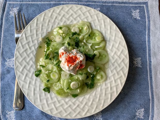 hungarian-cucumber-salad-uborkasalata-2