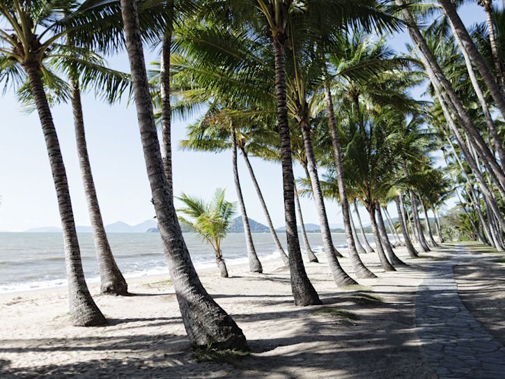 Explore Palm Cove