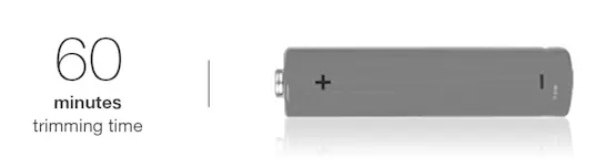 Braun Ear&Nose trimmer EN10 works with a regular battery.