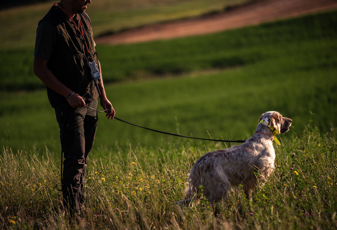 Blog-Collare-GPS-Cani-3.jpg