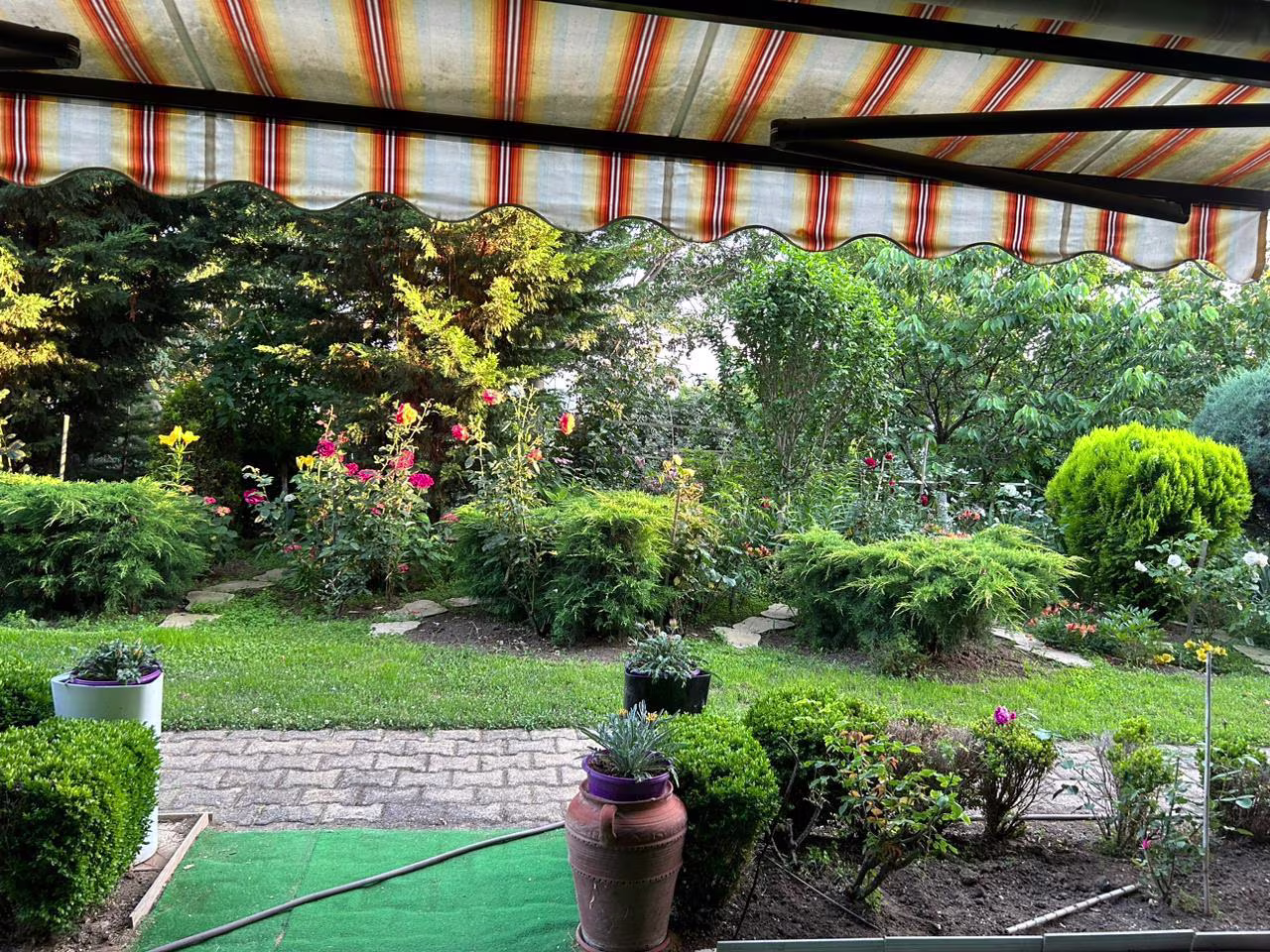 Image 6
