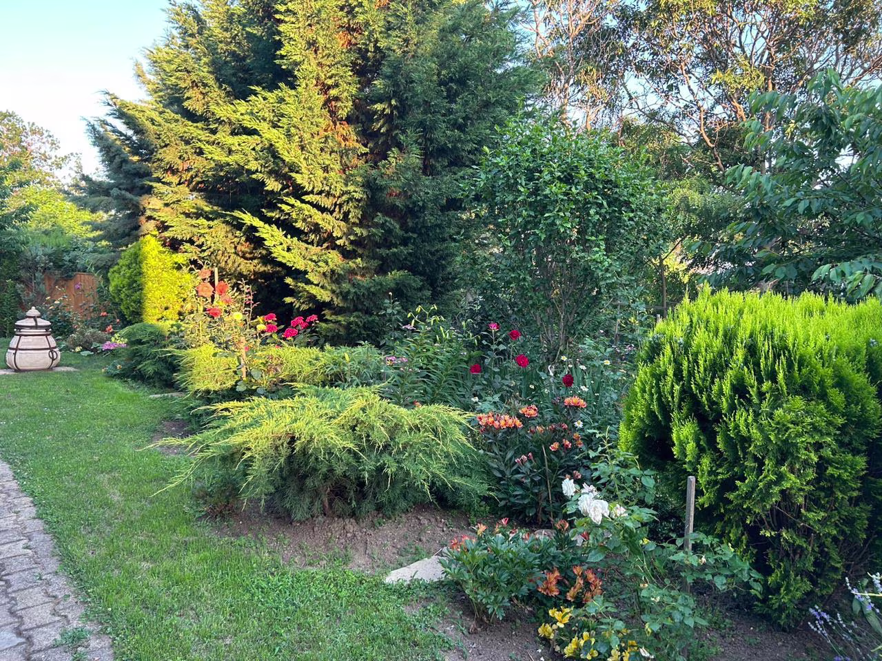 Image 8