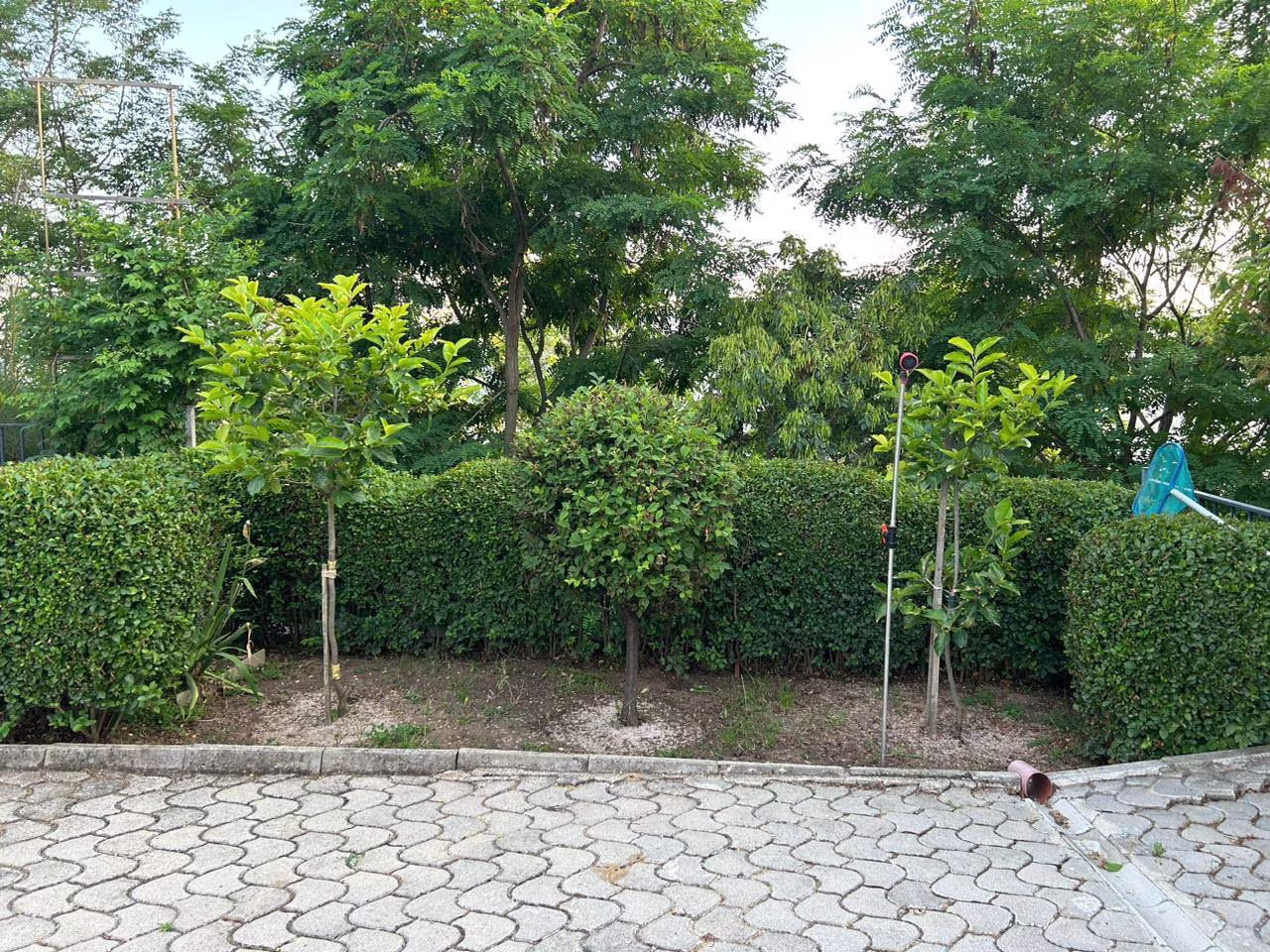 Image 10