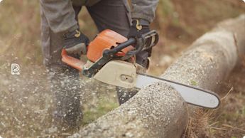 Motorsav – sådan vælger du den bedste