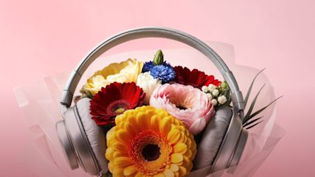 Valentines 2024 Headphones (Gifts for you)