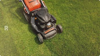 Best Lawn Mower for you