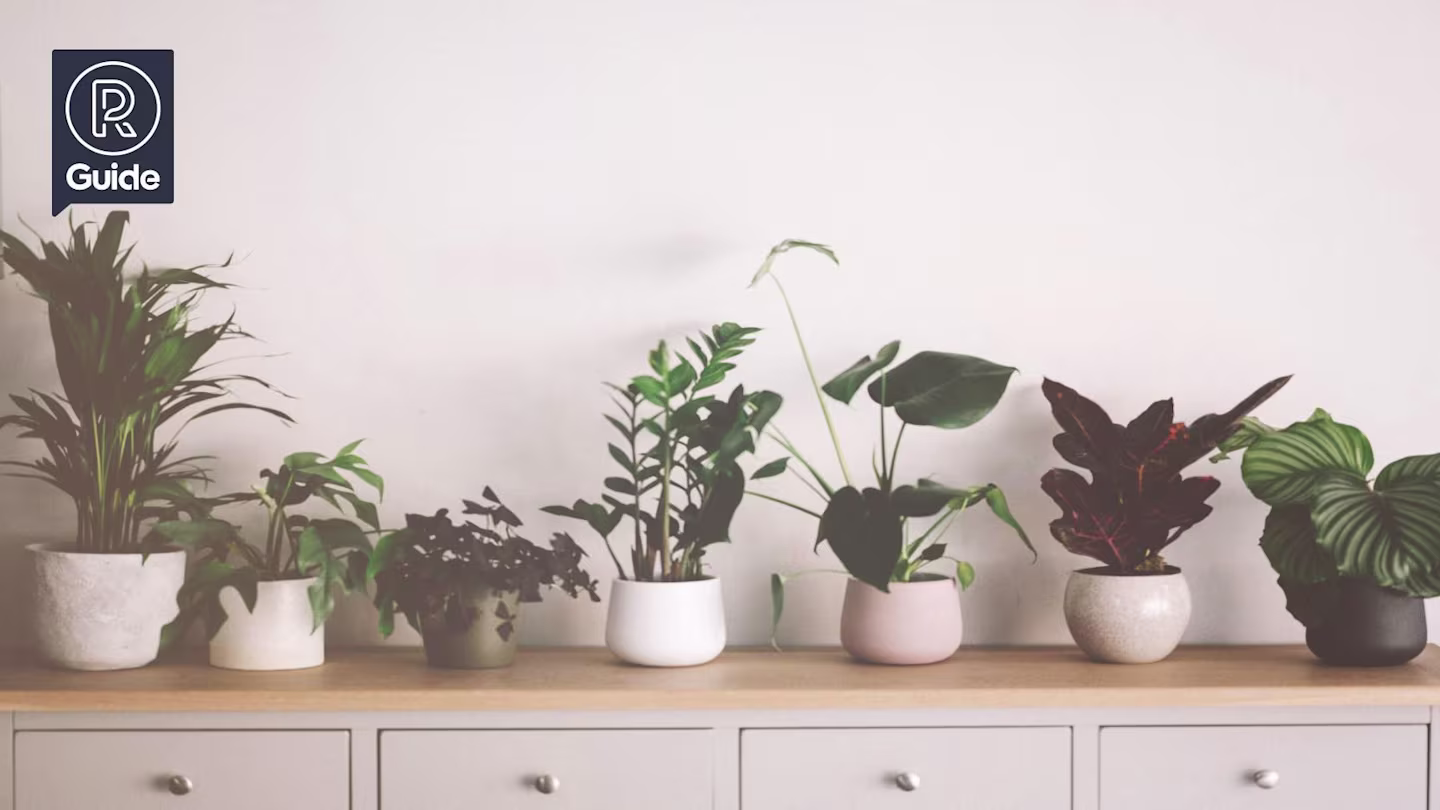 Charming plants pots and plant stands Hero Image