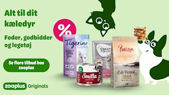 Forkæl din kat med det bedste – fire mærker, ét sted: Zooplus.dk
