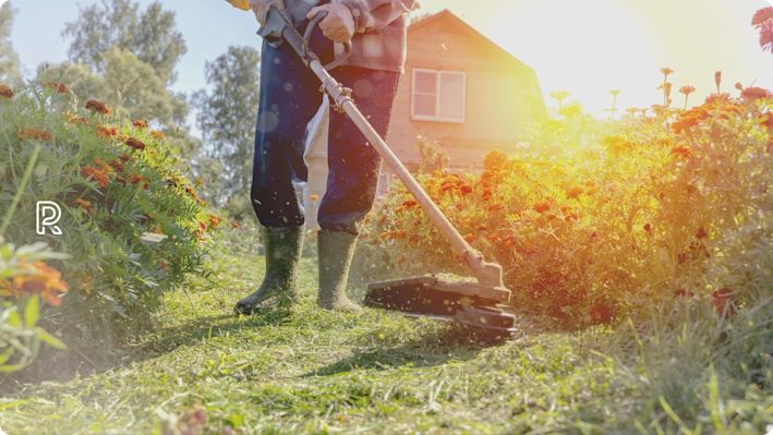 How to Pick the Best Strimmers and Hedge Trimmers Hero Image