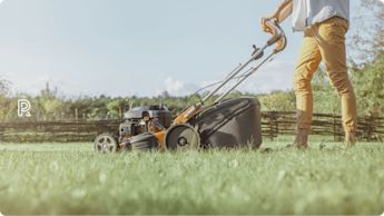 Vælg den bedste plæneklipper til din have