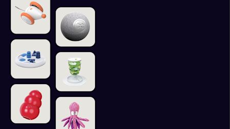 Julegaver til din firbenede ven