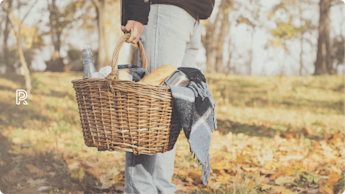 Topliste: Find din nye picnickurv