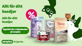 Skäm bort din katt med det bästa – fyra märken, ett ställe: Zooplus.se