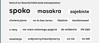 List of some colloquial Polish words: spoko, masakra, zajebiste, cholera jasna, no to bez sensu, fatalnie, kombinować, o rany, nie mam zielonego pojęcia, do widzenia, ale jaja, rewelacja, ordynarny/nieordynarny, no nie, no tak.