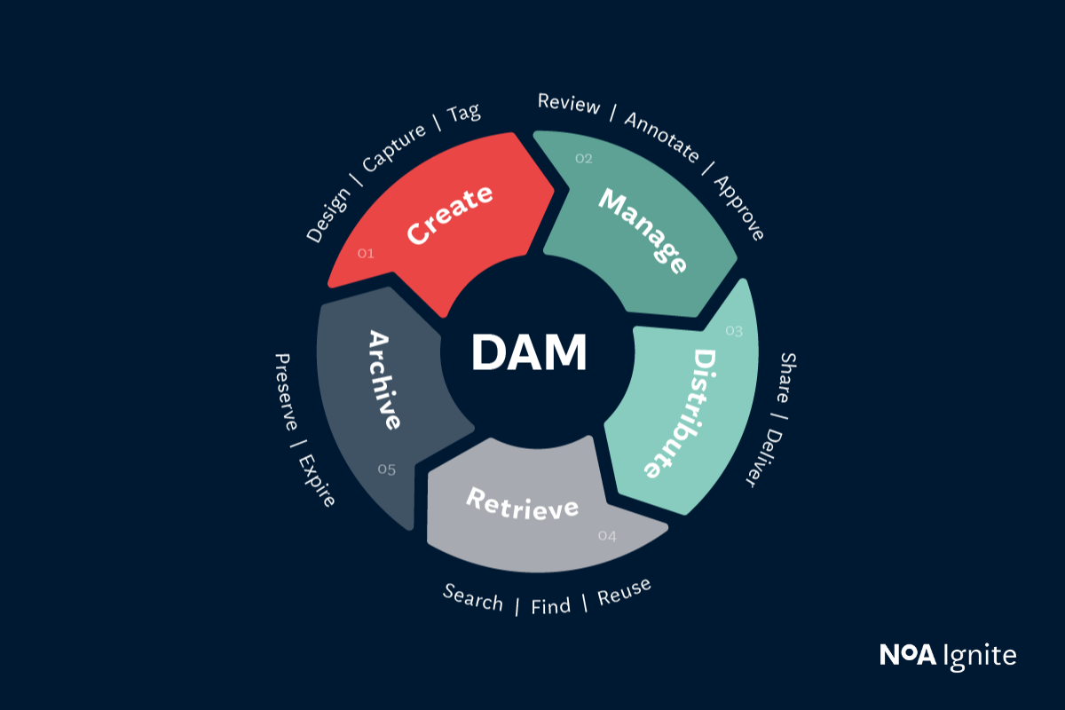 Digital Asset Management Lifecycle