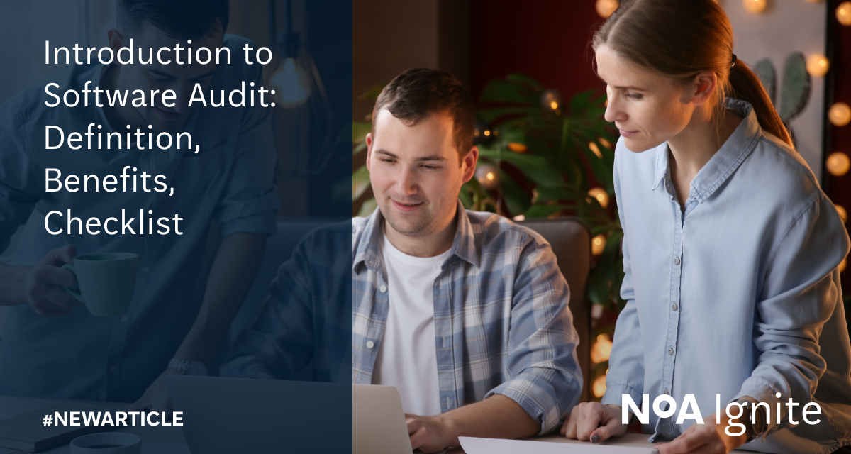 What Is A Software Audit – Understanding Software Licensing Auditing – DAEB