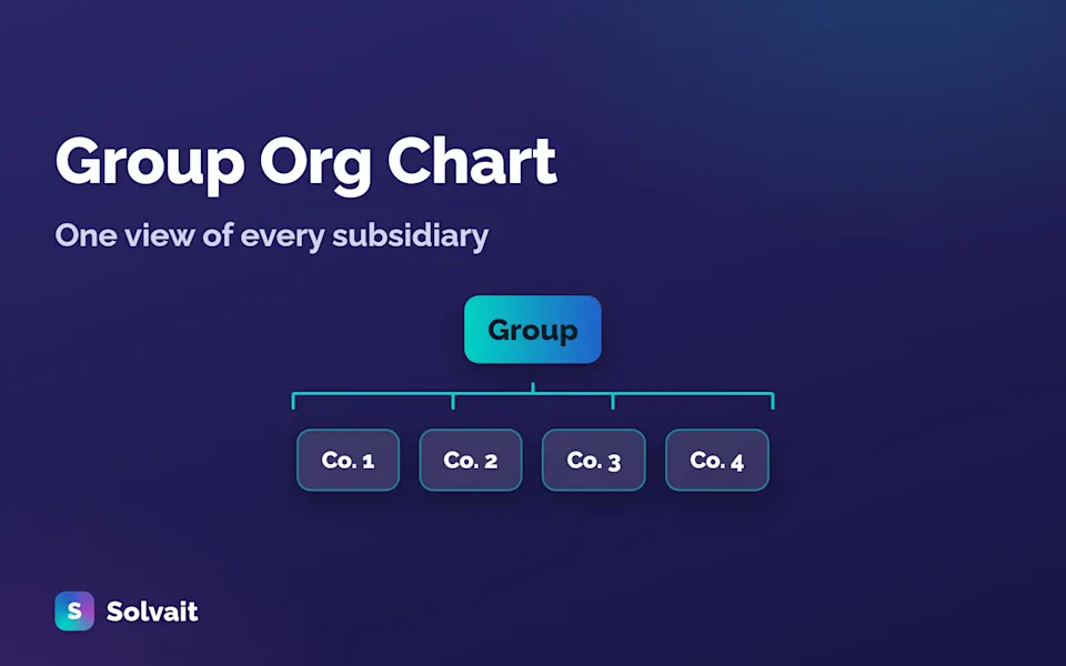 one group org chart uniting five subsidiaries in Solvait brand style