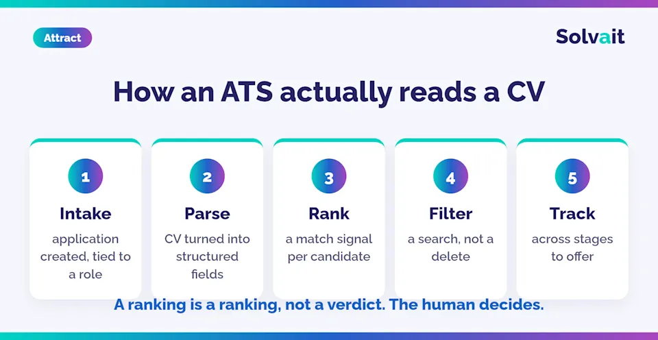 How an applicant tracking system works: intake, parse, rank, filter, then track across hiring stages