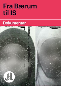 /fra-barum-til-is