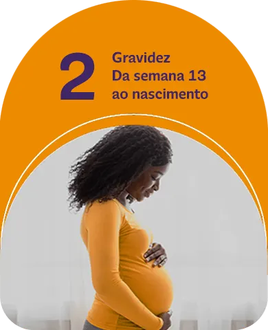 2 - Gravidez Da semana 13 ao nascimento
