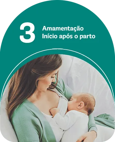 3 - Amamentação Início após o parto