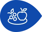 Ícone frutas