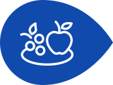 Ícone frutas