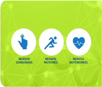 Ícones do sistema nervoso e suas funções