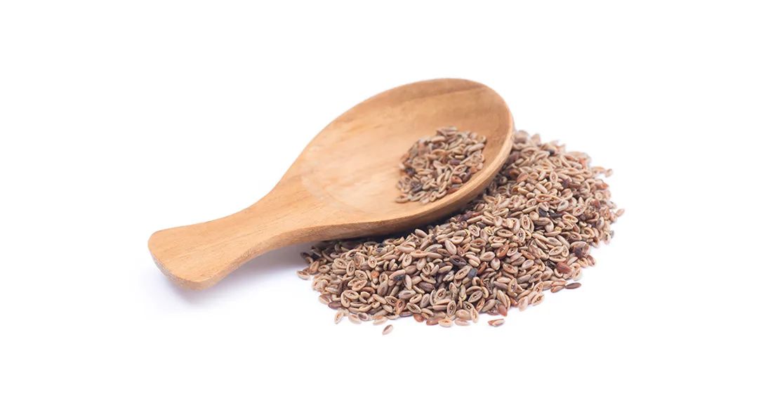Cascas de semente de Plantago ovata Forssk (Psyllium Husk)