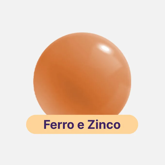 Ferro e Zinco imagem