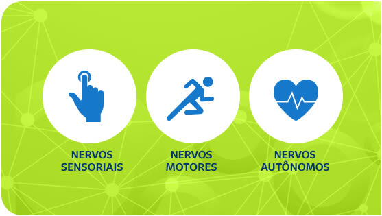 Ícones do sistema nervoso e suas funções