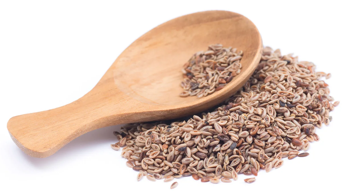 O que é o Psyllium