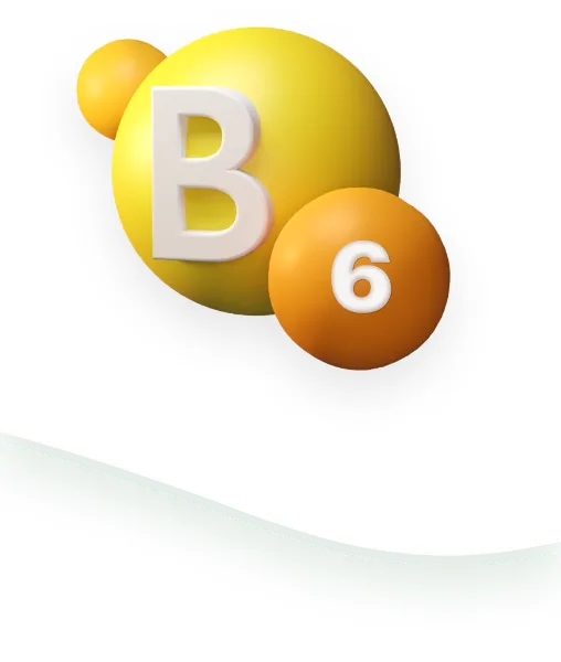 Logotipo que representa la vitamina B6