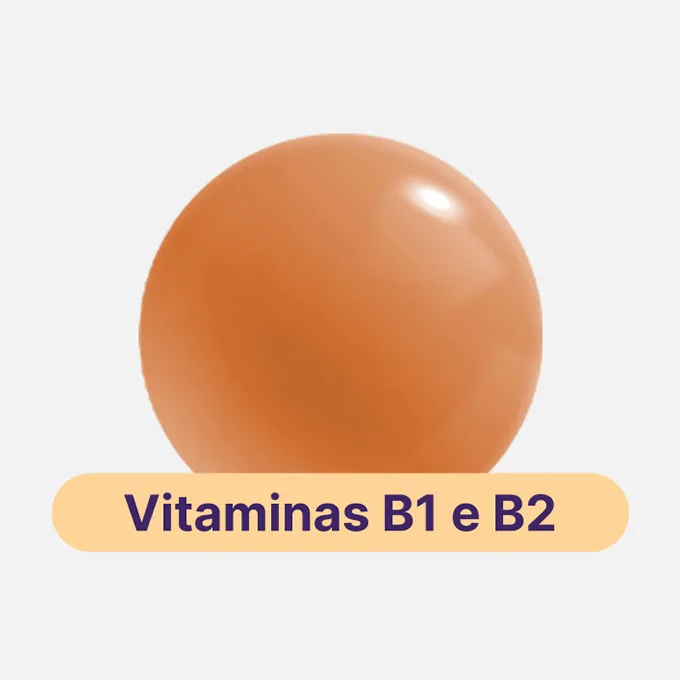 Vitamina B1 e B2 imagem