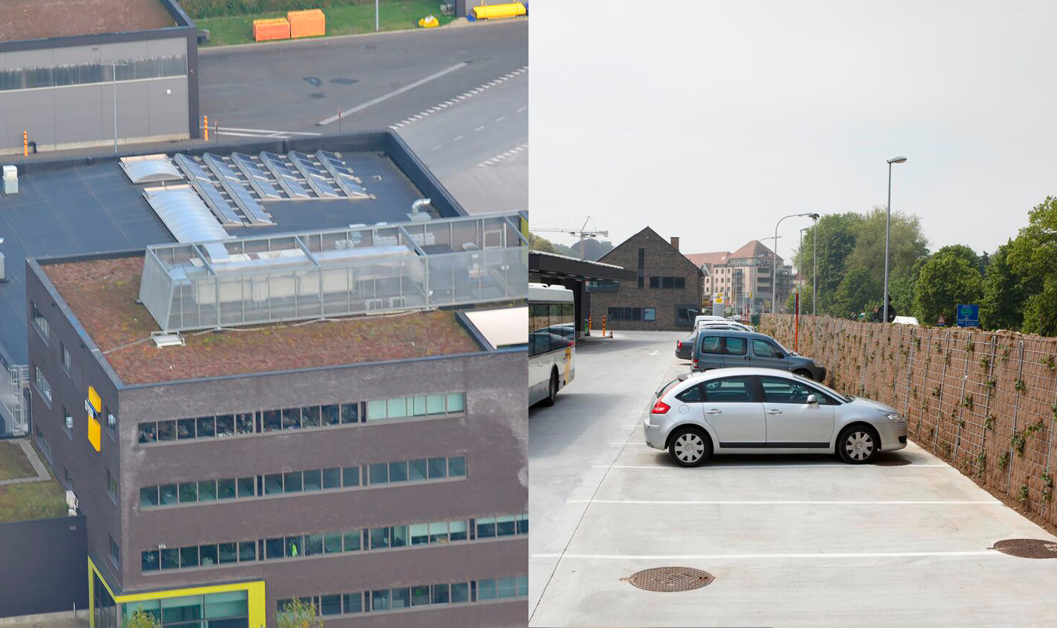 groendaken-groenmuur