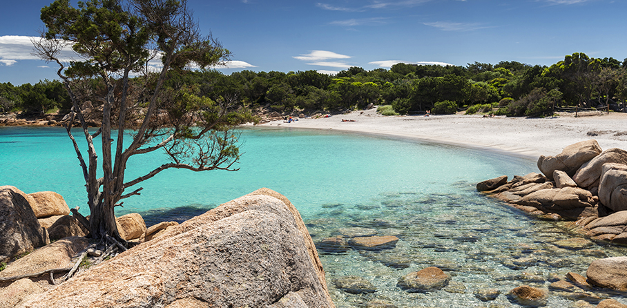 SanBenedetto FoodExcellence - Golfo Aranci