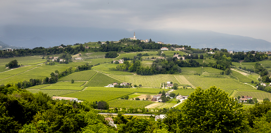 SanBenedetto%20FoodExcellence - Ca 'del Poggio, sea view among the Prosecco hills