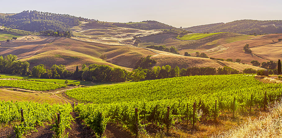 SanBenedetto%20FoodExcellence - Cosa vedere assolutamente - Montefalco 